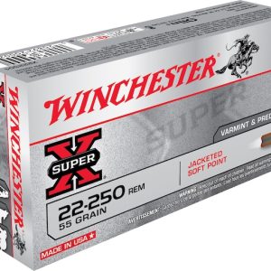 Winchester 22-250 ammunition box