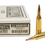 Dogtown Ammunition 243 Winchester 70 Grain Polymer Tip Flat Base