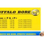 Buffalo Bore Ammunition 9mm Luger +P+ 147 Grain Jacketed Hollow Point Box of 20