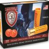 20 gauge home defense ammunition
