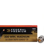300 Win Magnum ammunition