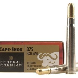 375 H&H Magnum cartridges