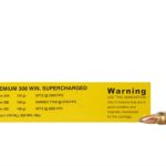 308 WIN ammunition box