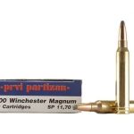 300 Winchester Magnum cartridges