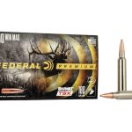 300 Win Mag cartridges