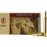 Hunting ammunition box and bullets