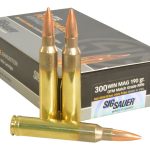 300 WIN MAG cartridges