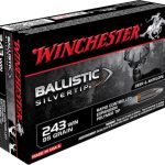 Winchester Ballistic Silvertip Ammunition 243 Winchester 95 Grain Rapid Controlled Expansion Polymer Tip