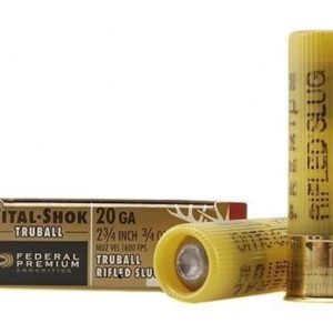 20 gauge slug ammunition