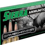 Sierra GameChanger ammunition box