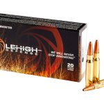 Premium ammunition box and cartridges