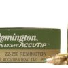 Remington 22-250 ammunition box