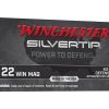 Winchester 22 Win Mag ammo