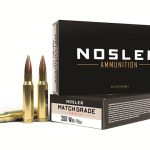 Nosler .308 Win ammunition boxes