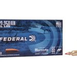 22-250 Remington ammunition box