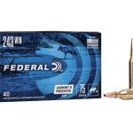 Federal American Eagle Varmint and Predator Ammunition 243 Winchester 75 Grain Hollow Point