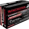 Winchester 17 varmint ammo box