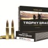 Hunting ammunition box and bullets
