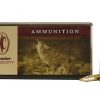 Coyote ammunition box and bullets