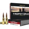Nosler Trophy Grade ammunition box