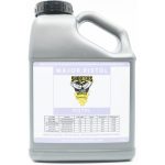 Shooters World Major Pistol D037-01 Smokeless Gun Powder